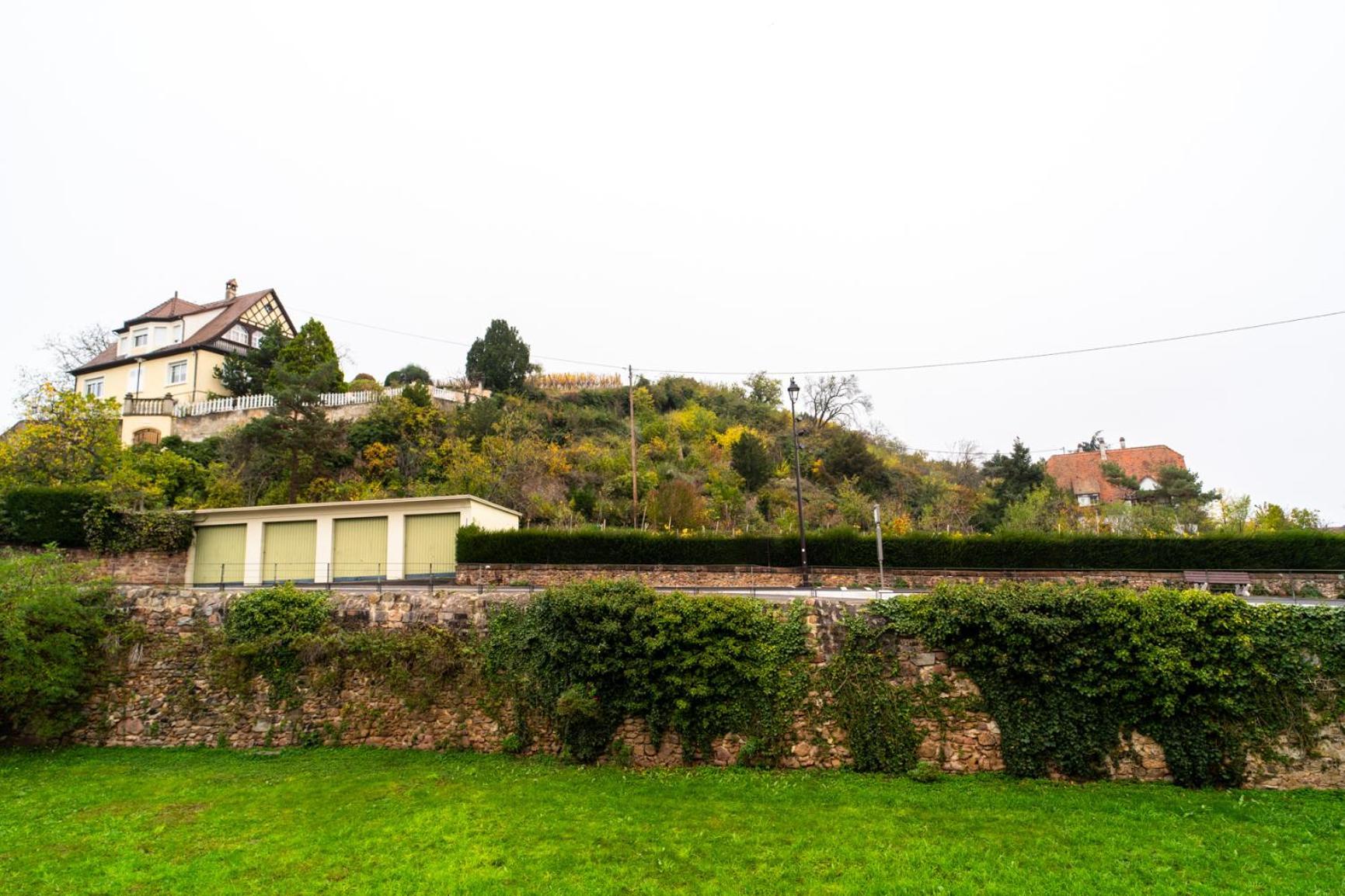 Appartamento Refuge Des Vignerons - Turckheim Esterno foto